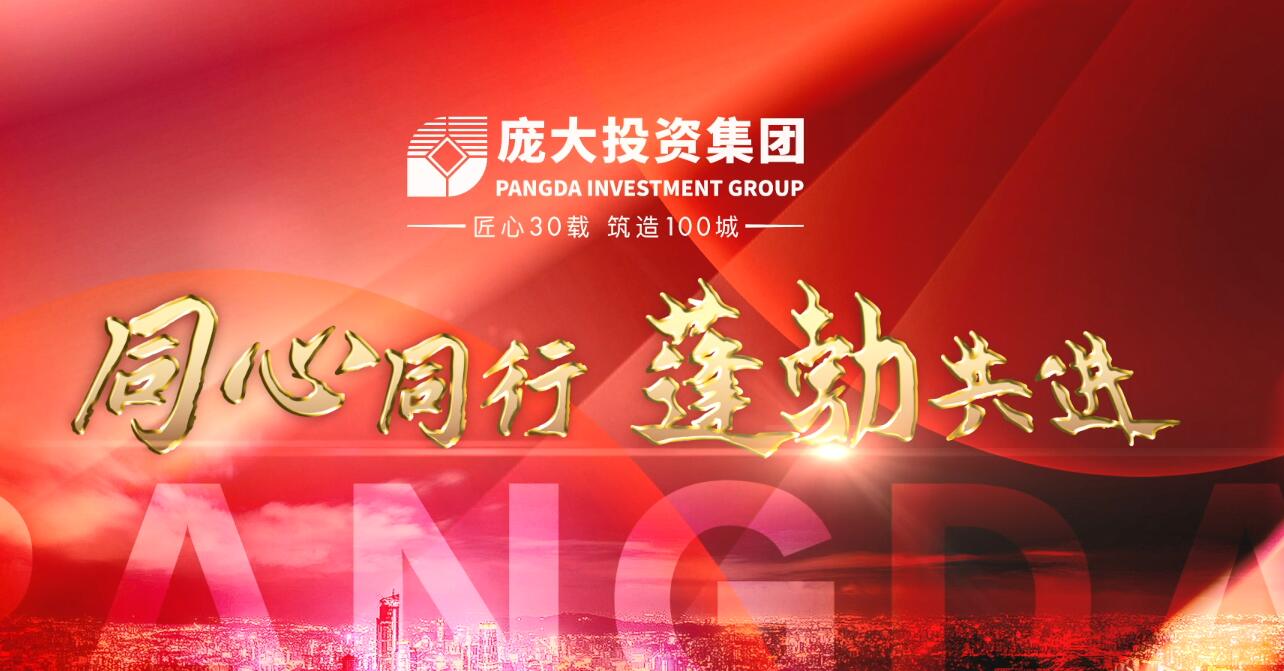 龐大投資集團(tuán)